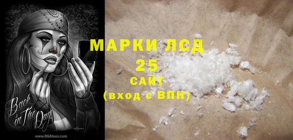 прущие грибы Баксан