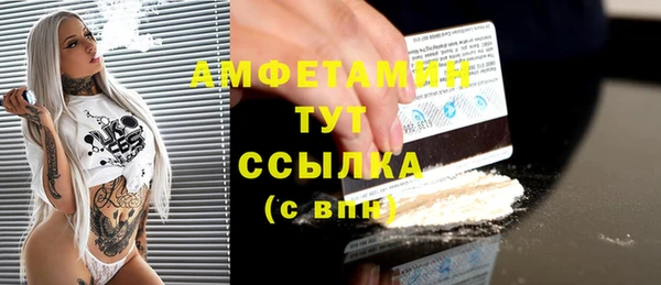 прущие грибы Баксан