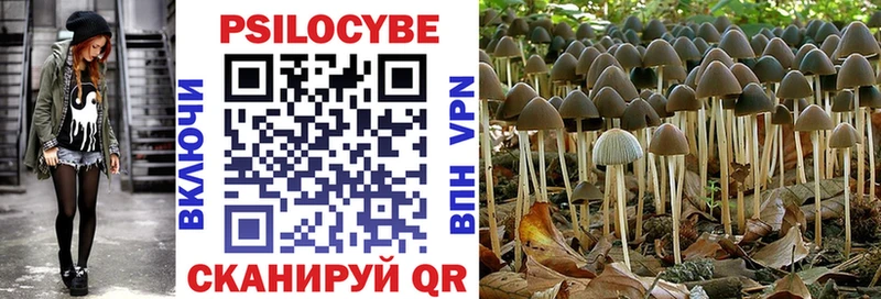 Галлюциногенные грибы MAGIC MUSHROOMS  дарнет шоп  Спас-Деменск 